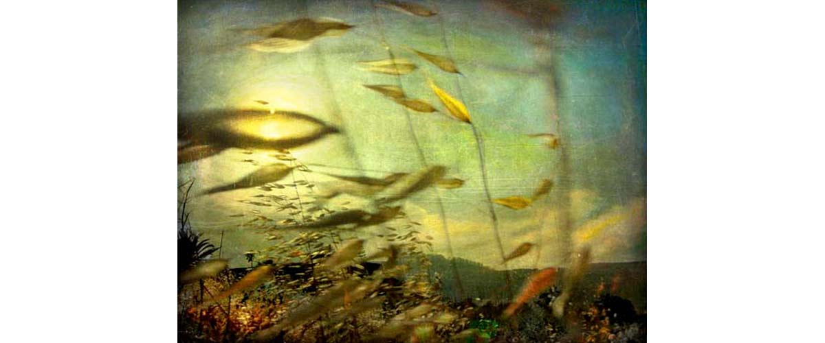 image taken by Alfredo Gonzalez